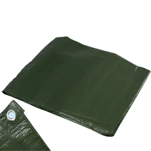 Variax telone occhiellato 90g/mq PE verde antistrappo